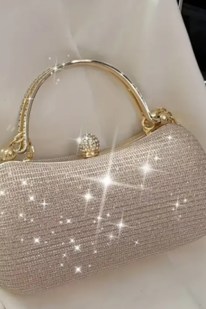 Elegant Mini Evening Bag